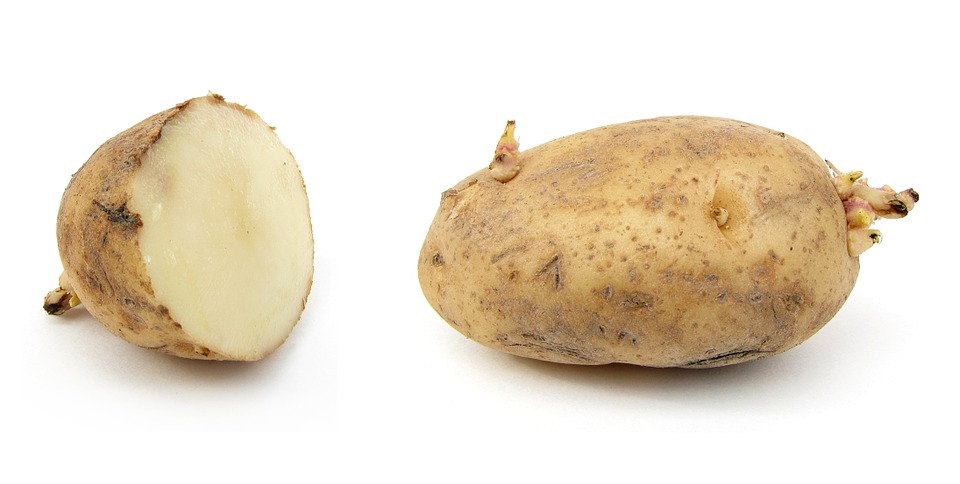 Pomme de terre